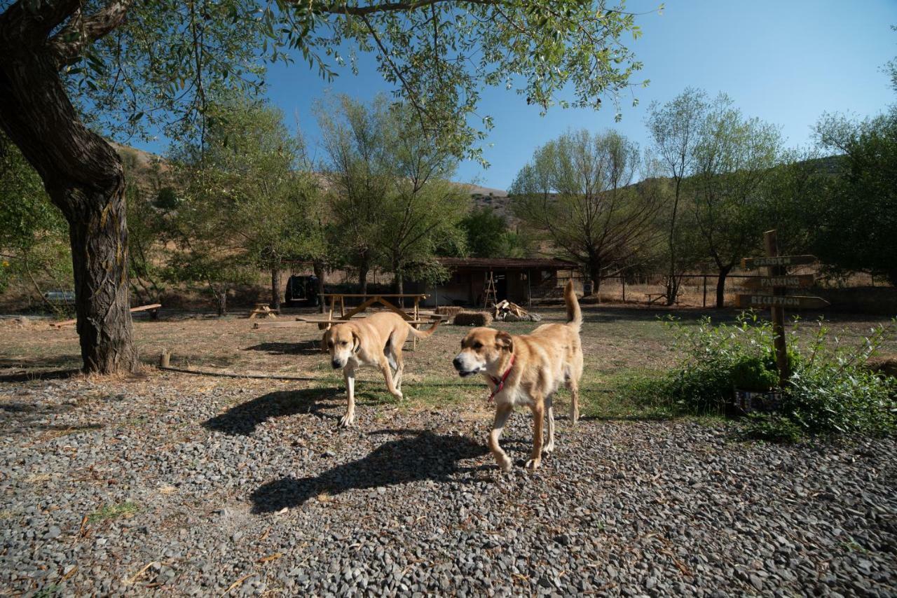 Orias Guesthouse & Farm Kalavryta Exterior photo